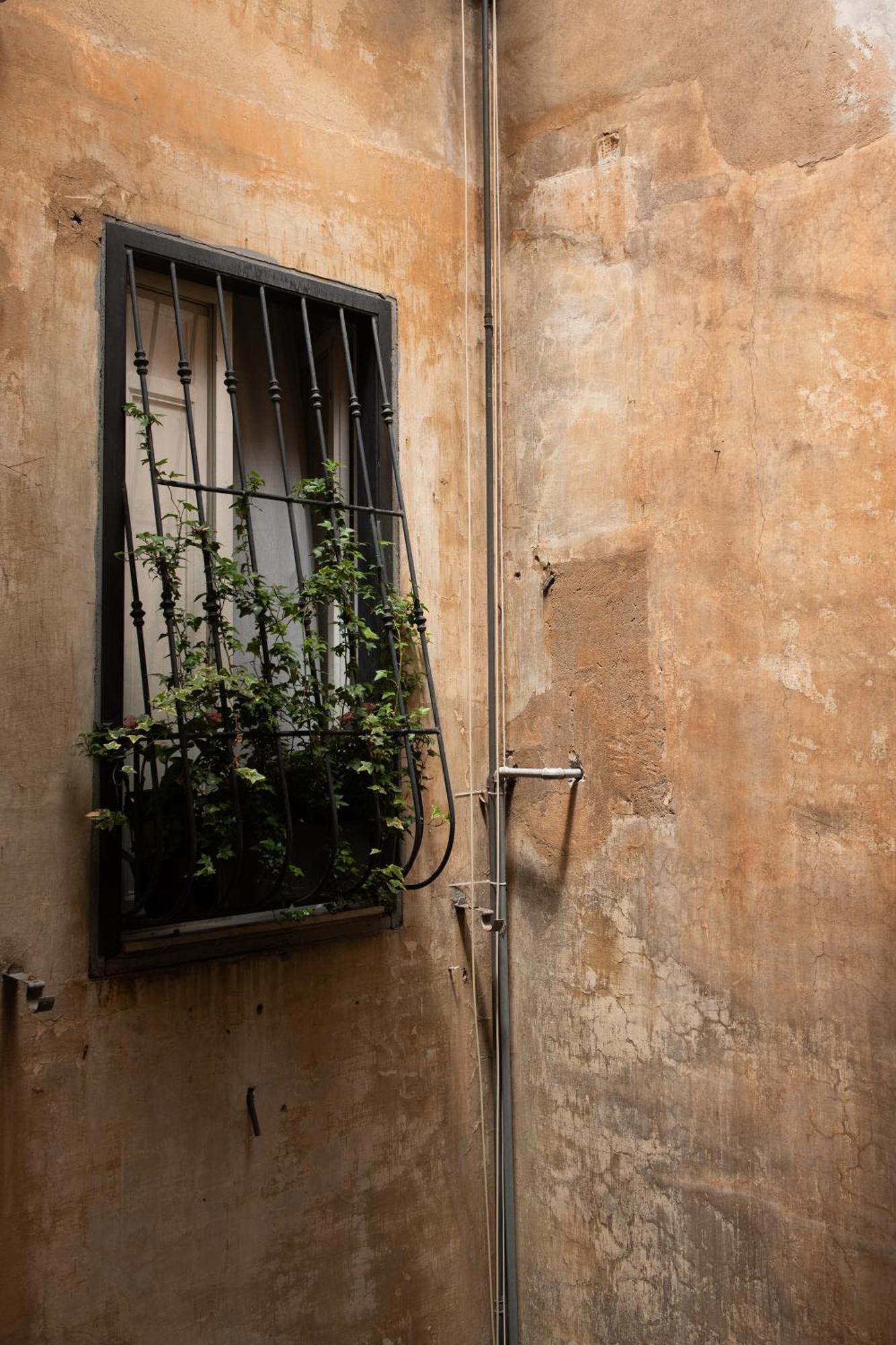 Apartamento Colosseum View
